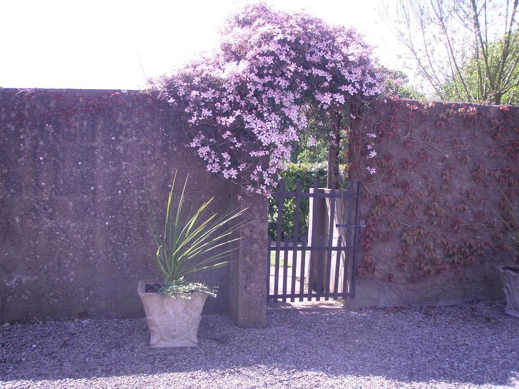 Glebe House Guest House Taghshinny Exterior photo