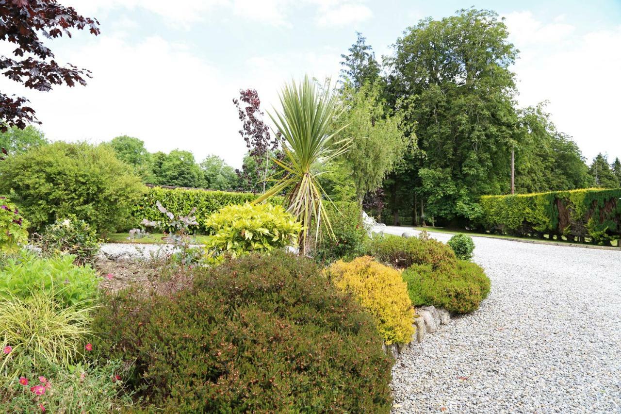 Glebe House Guest House Taghshinny Exterior photo